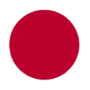 日本授权代表